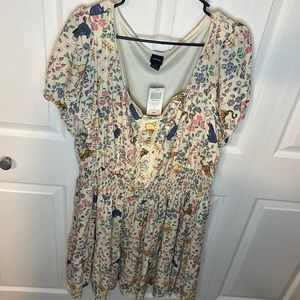 Disney Winnie the Pooh Dress sz 2X